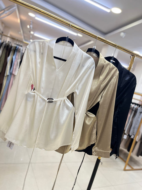 Satin Long Sleeves V-Neck Waist Tie Tops